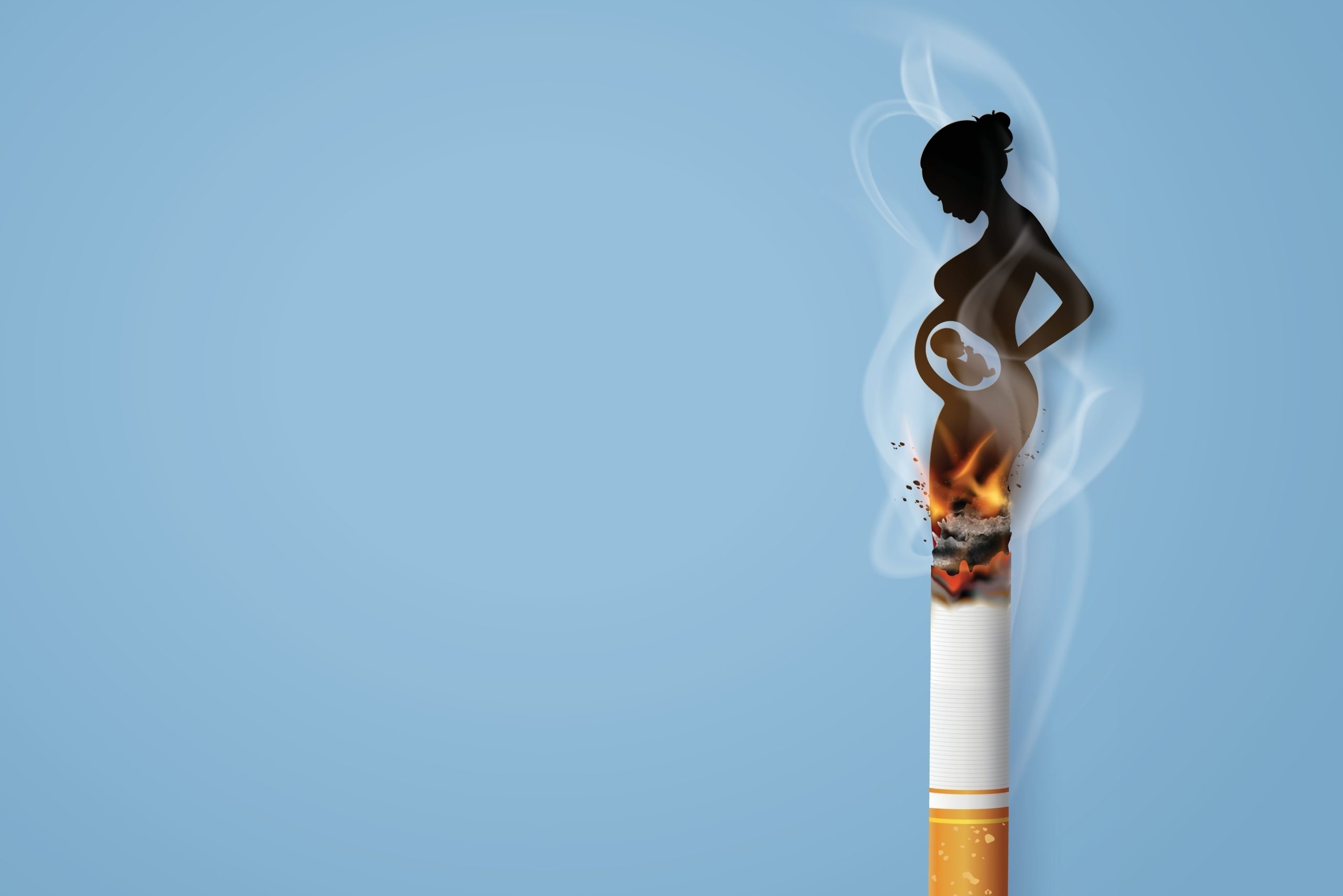prenatal environmental risks during pregnancy